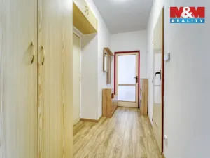 Pronájem bytu 2+1, Plzeň - Východní Předměstí, Francouzská třída, 55 m2