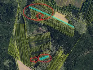 Prodej podílu lesa, Lesonice, 1518 m2