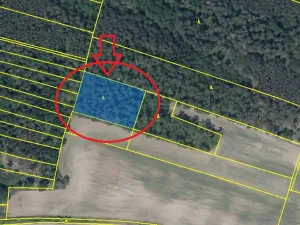 Prodej lesa, Budyně nad Ohří, 3763 m2