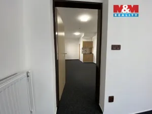 Pronájem obchodního prostoru, Český Těšín, Studentská, 40 m2