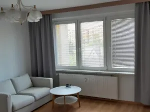 Pronájem bytu 1+1, Český Těšín, Okružní, 40 m2