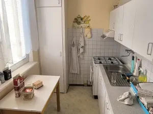 Prodej bytu 2+1, Cheb, Družstevní, 53 m2