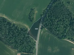 Prodej pole, Velký Bor, 45700 m2