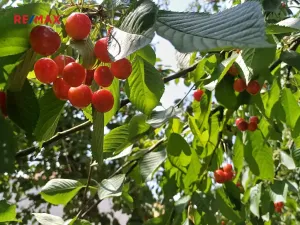 Pronájem chaty, Třebíz, 25 m2