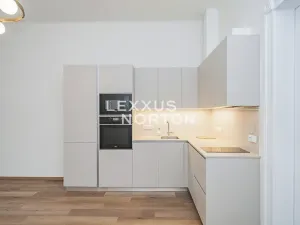 Pronájem bytu 2+kk, Praha - Vinohrady, Slezská, 57 m2