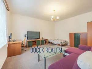 Prodej bytu 1+1, Beroun, V Hlinkách, 37 m2