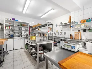 Prodej ubytování, Větřní, 250 m2