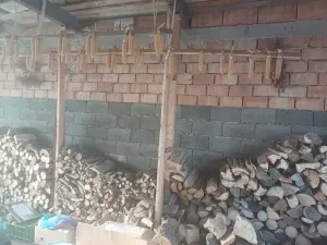 Prodej zemědělského objektu, Horní Radslavice, 752 m2