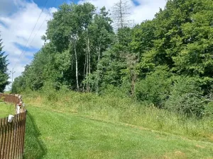 Dražba pozemku, Chlum, 12440 m2