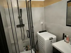 Pronájem bytu 1+1, Ostrava, Hlavní třída, 40 m2