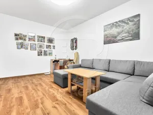 Prodej bytu 3+1, Sokolov, Mičurinova, 64 m2