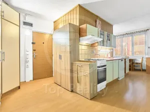 Prodej bytu 3+1, Sokolov, Mičurinova, 64 m2