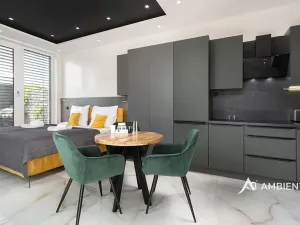 Pronájem ubytování, Šanov, 248 m2