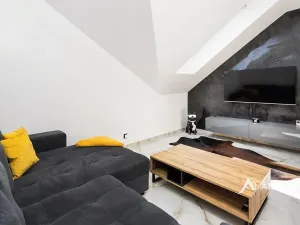 Pronájem ubytování, Šanov, 248 m2