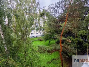 Prodej bytu 2+1, Praha - Hloubětín, Poděbradská, 56 m2