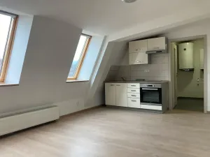 Pronájem bytu 1+kk, Liberec, Šlikova, 30 m2