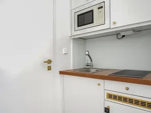 Pronájem bytu 1+kk, Brno, Cejl, 33 m2