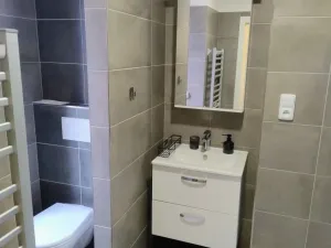 Pronájem bytu 2+1, Opava, náměstí Svaté Hedviky, 56 m2