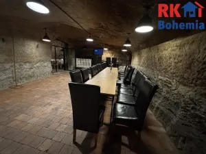 Pronájem restaurace, Mladá Boleslav, Ptácká, 410 m2