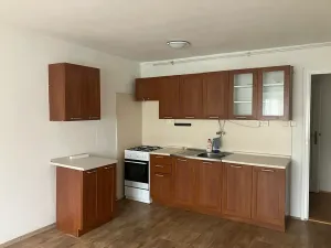 Pronájem bytu 2+kk, Brno, Hostinského, 54 m2
