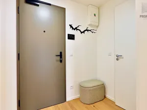 Prodej bytu 1+kk, Brno, Bratislavská, 44 m2