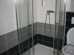 Pronájem bytu 2+1, Praha - Holešovice, Dělnická, 48 m2