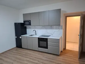 Pronájem bytu 2+kk, Praha - Žižkov, Basilejské náměstí, 48 m2