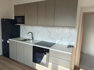 Pronájem bytu 2+kk, Praha - Žižkov, Basilejské náměstí, 48 m2