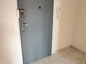 Pronájem bytu 2+kk, Praha - Žižkov, Basilejské náměstí, 48 m2