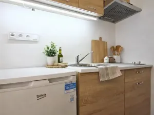 Pronájem bytu 1+kk, Brno, Koliště, 20 m2