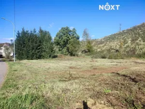 Prodej zahrady, Staré Buky, 2666 m2