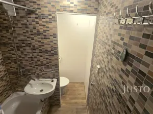 Pronájem bytu 1+kk, Písek, Dr. M. Horákové, 20 m2