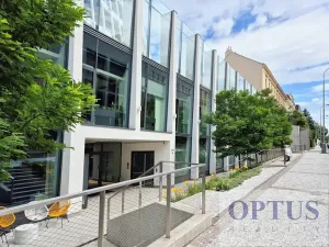 Pronájem bytu 5+kk, Praha - Smíchov, Holečkova, 212 m2