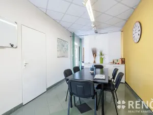 Prodej rodinného domu, Brno, Blatného, 265 m2