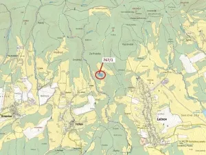 Dražba lesa, Lačnov, 12637 m2