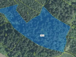 Dražba lesa, Lačnov, 12637 m2