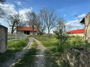 Prodej obchodního prostoru, Chrášťany, 105 m2