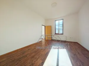 Pronájem bytu 2+1, České Budějovice, 54 m2