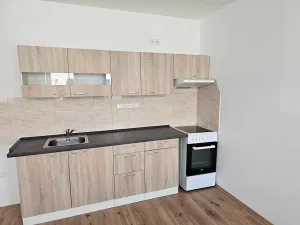 Pronájem bytu 1+kk, Chlumec nad Cidlinou, 45 m2