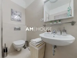 Pronájem bytu 2+kk, Praha - Karlín, Thámova, 58 m2