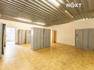 Pronájem výrobních prostor, Zábřeh, 2601 m2