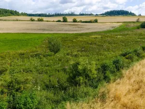 Prodej rybníku, Želetava, 5179 m2