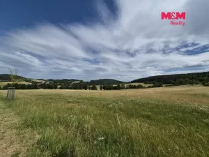 Prodej louky, Malenice, 25808 m2