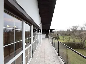 Pronájem rodinného domu, Průhonice, Sadová, 300 m2