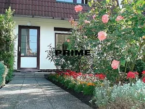 Pronájem rodinného domu, Praha - Nebušice, V březinkách, 365 m2