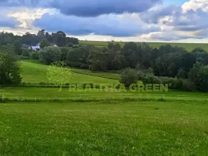 Prodej lesa, Světlá nad Sázavou, 48055 m2