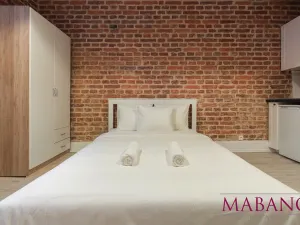 Pronájem bytu 1+kk, Praha - Žižkov, Lucemburská, 24 m2