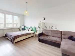 Prodej bytu 1+1, České Budějovice, K. Šafáře, 43 m2