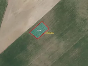 Prodej pole, Poběžovice u Holic, 2612 m2