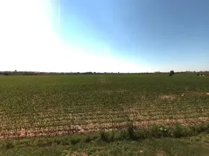 Prodej pole, Opava, 639 m2